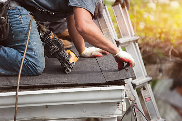 Best Shingle Roofing Installation  in Naples, FL
