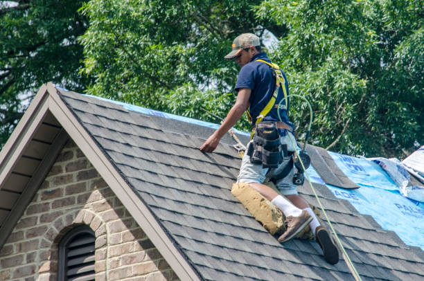 Best Storm Damage Roof Repair  in Naples, FL